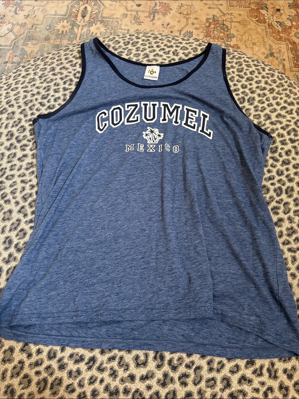 Cozumel Mexico Men's Blue Tank Top